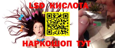 гидропоника Пугачёв