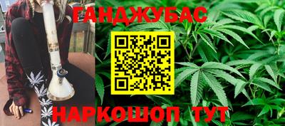 гидропоника Пугачёв