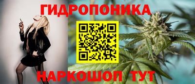 кокс Пушкино