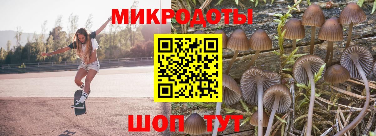 Галлюциногенные грибы мухоморы Обнинск